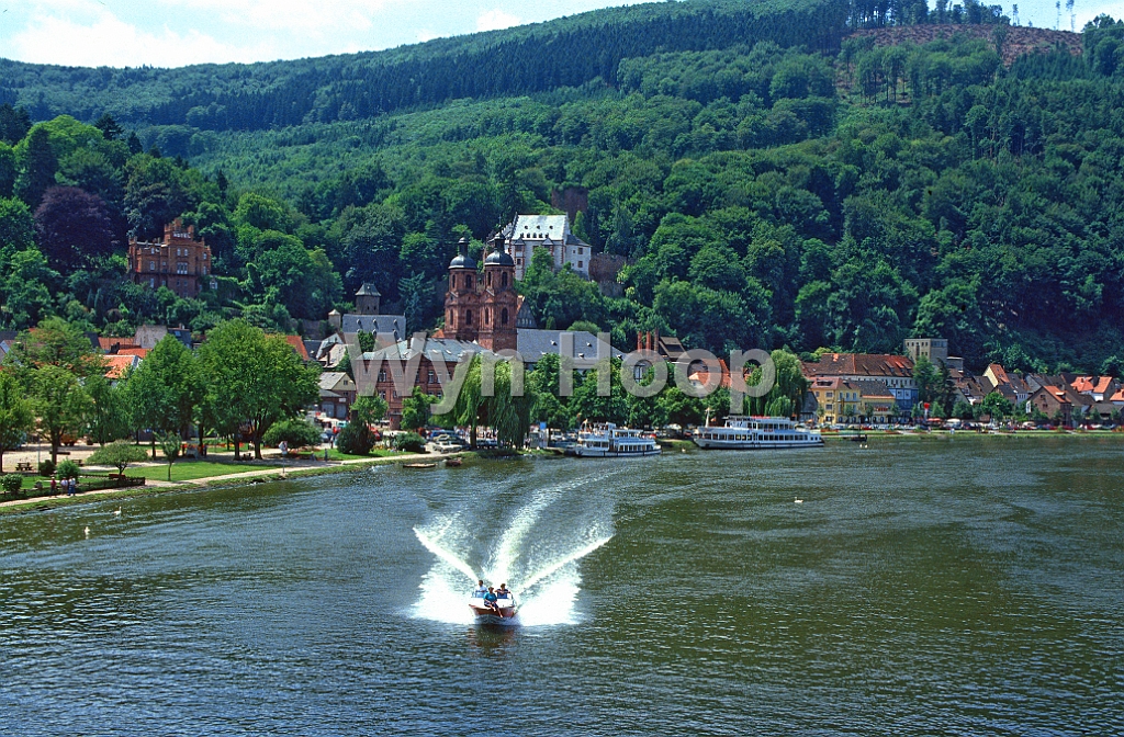 Main Miltenberg_2 km124,5.jpg - Speedboot vor der Kulisse von Miltenberg, Main-km 124,5